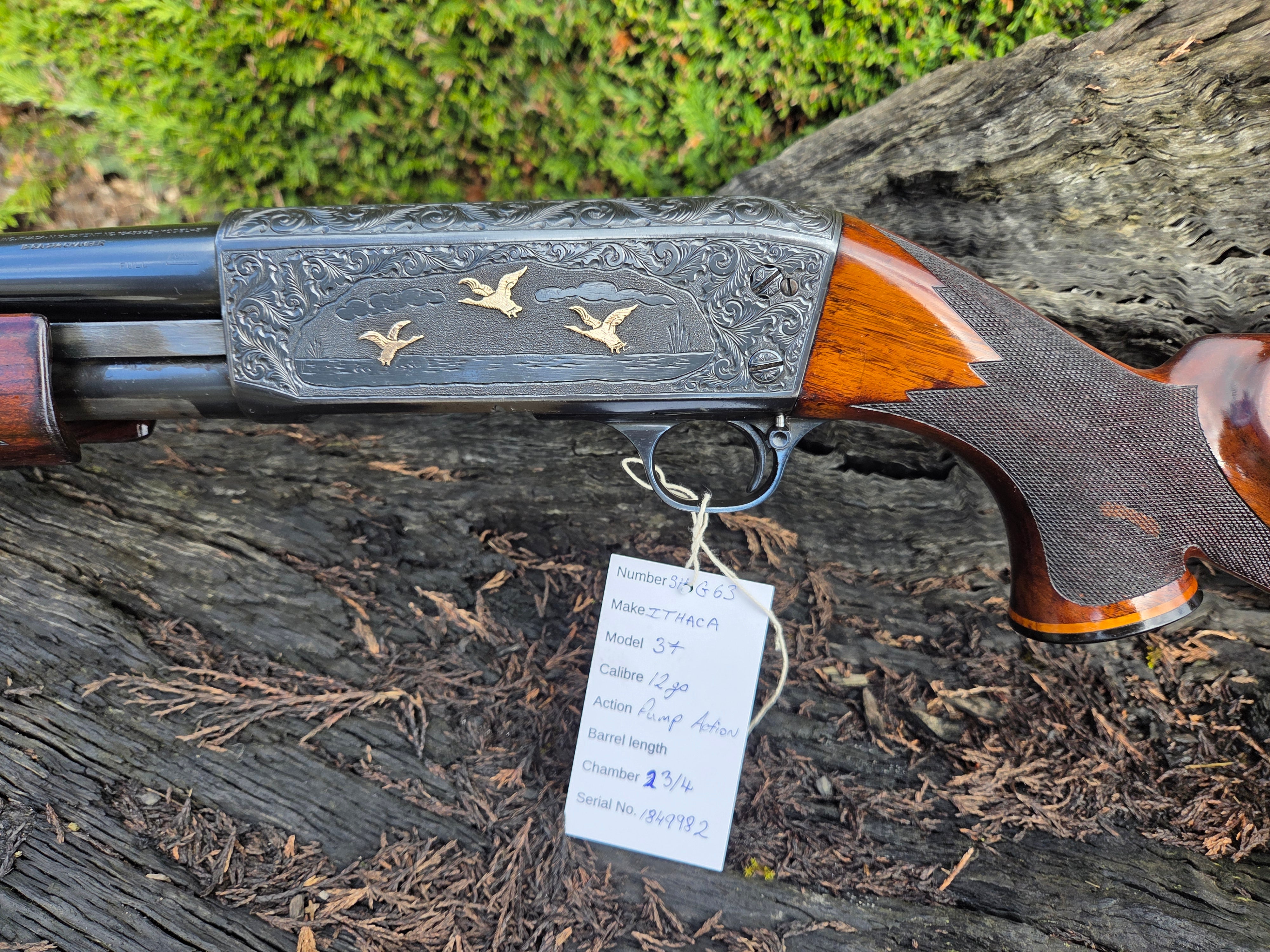 Ithaca 12ga Pump action Shotgun
