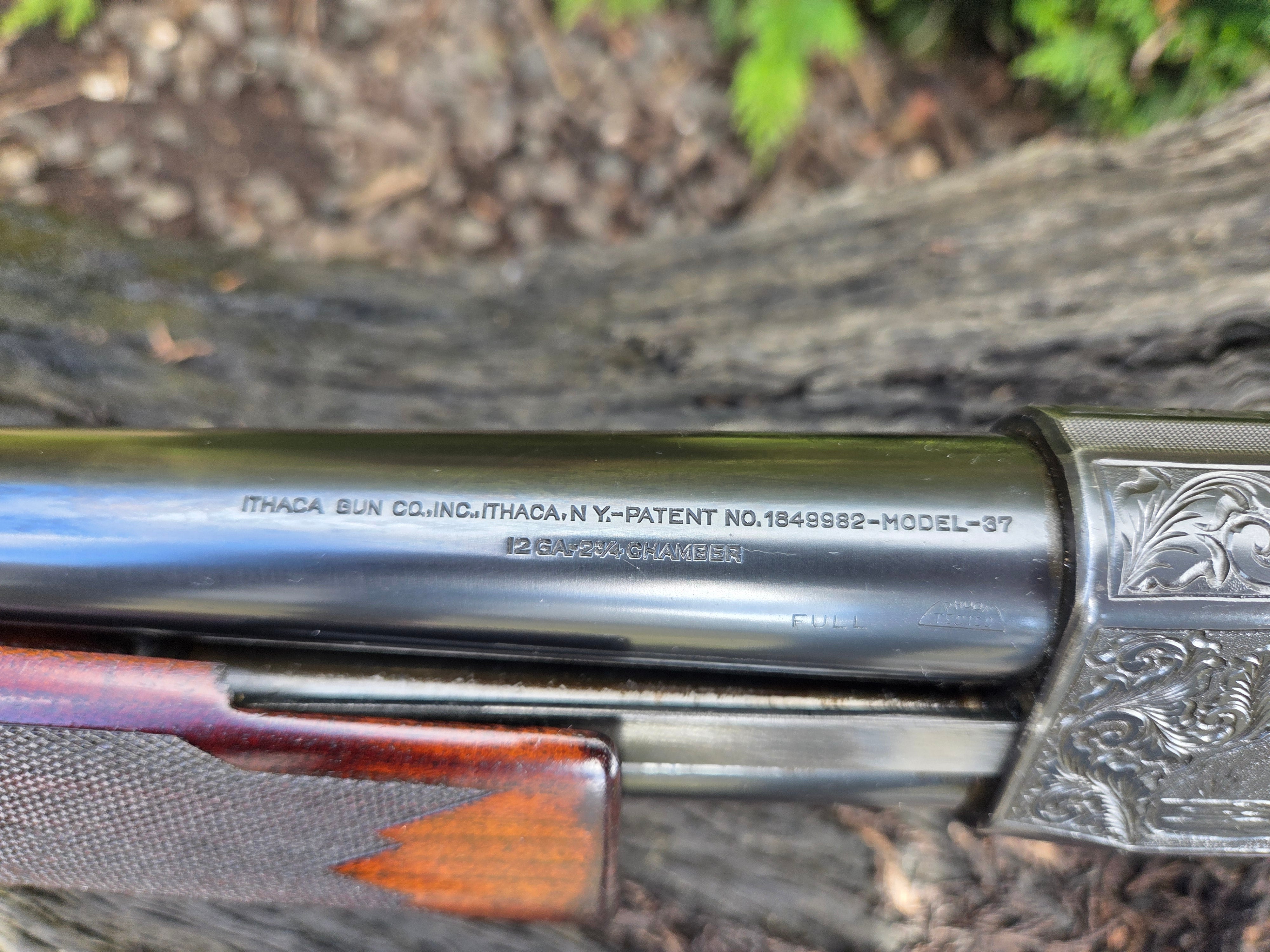 Ithaca 12ga Pump action Shotgun