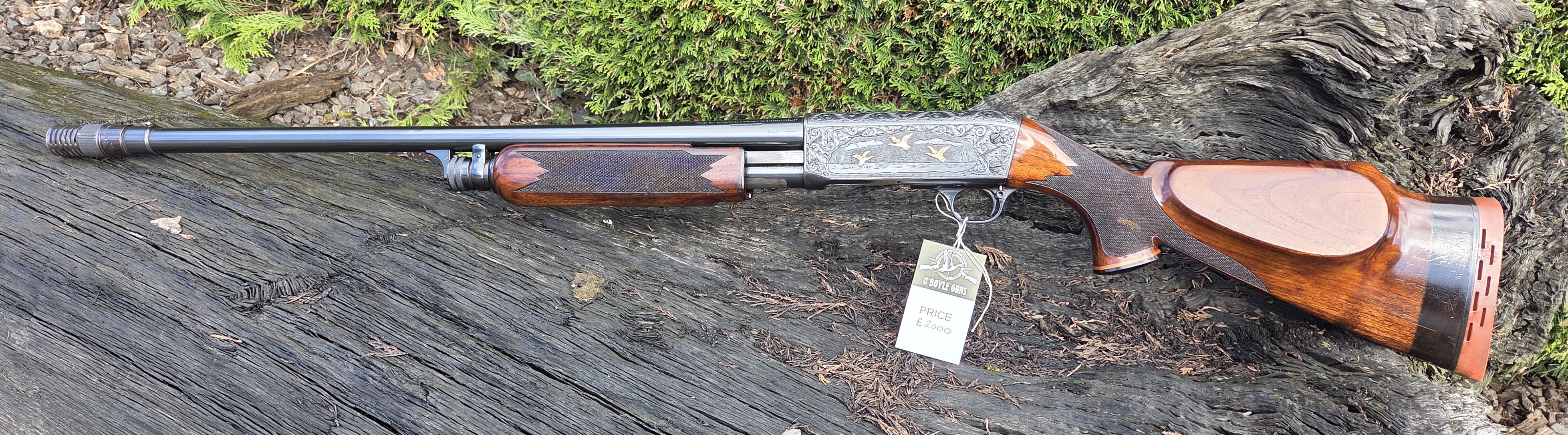 Ithaca 12ga Pump action Shotgun