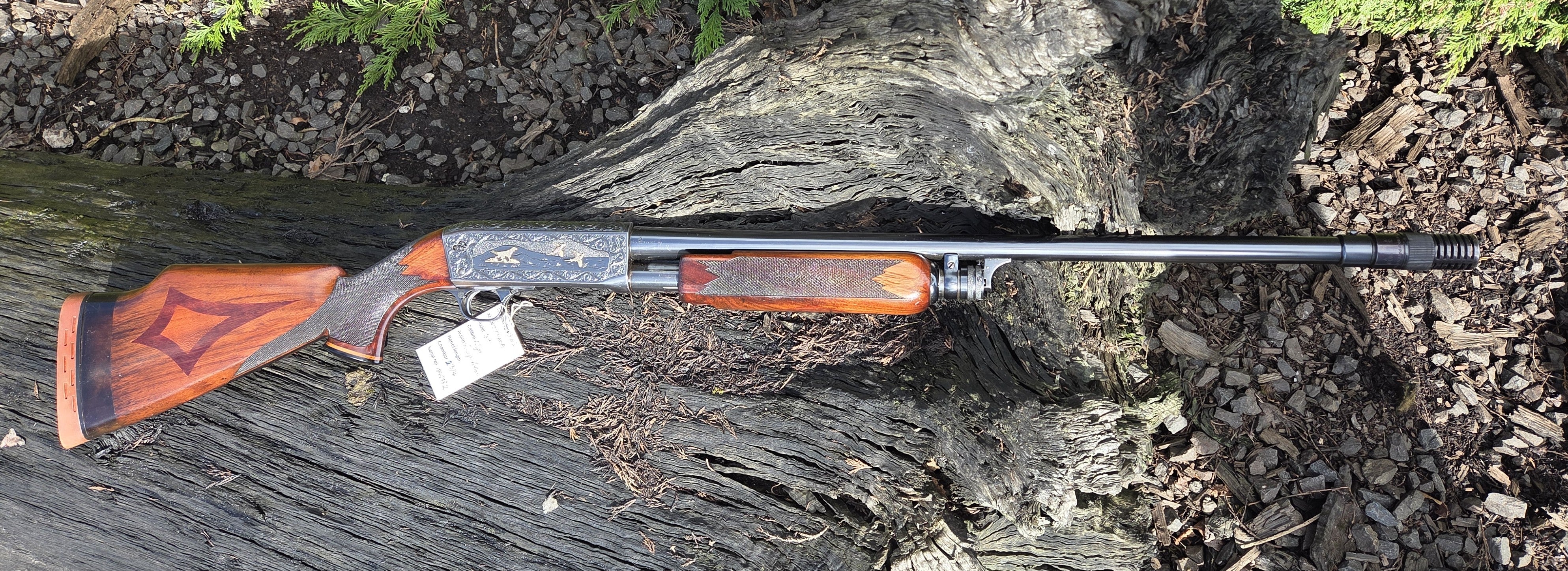Ithaca 12ga Pump action Shotgun