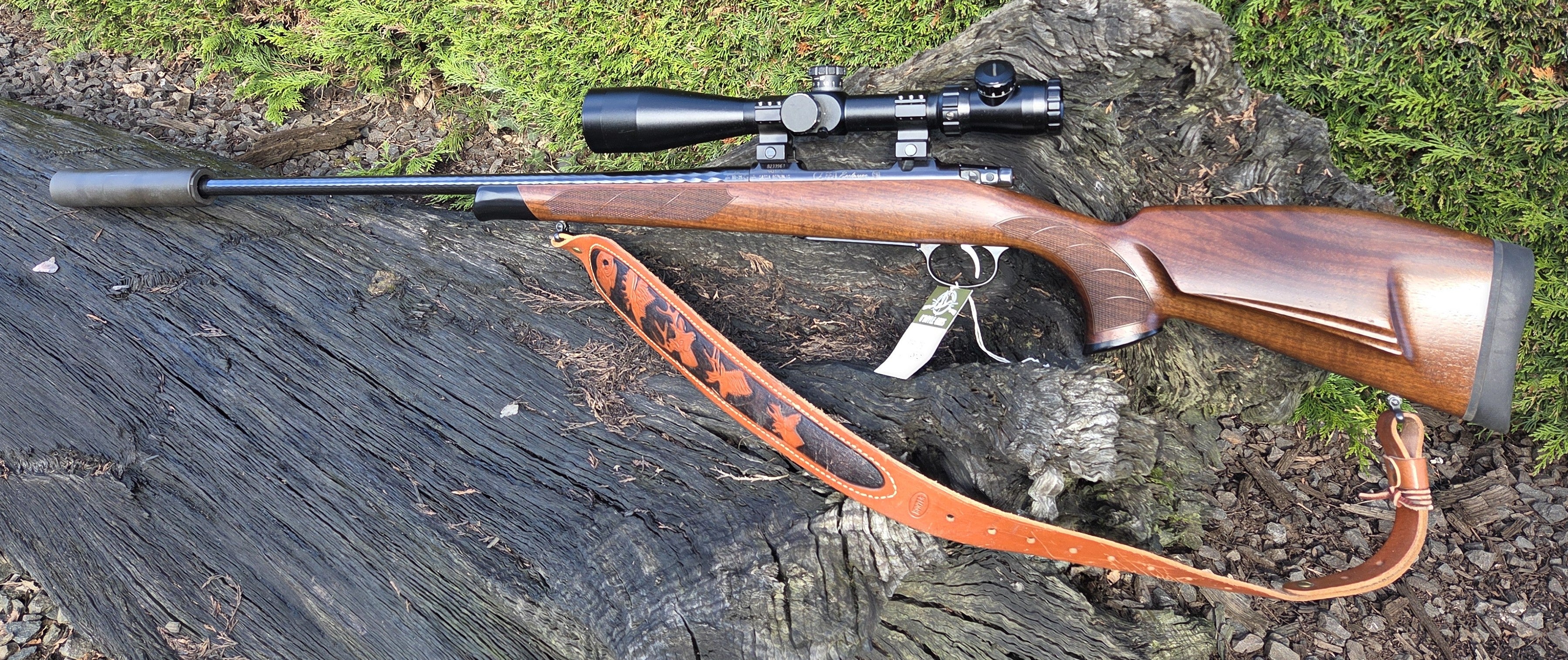 CZ 550 Ebony Edition  30-06
