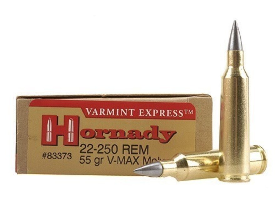 Hornady .22-250 REM 55gr V_MAX Bullets