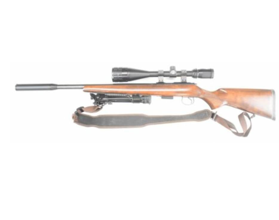 CZ 455 .17HMR Rifle