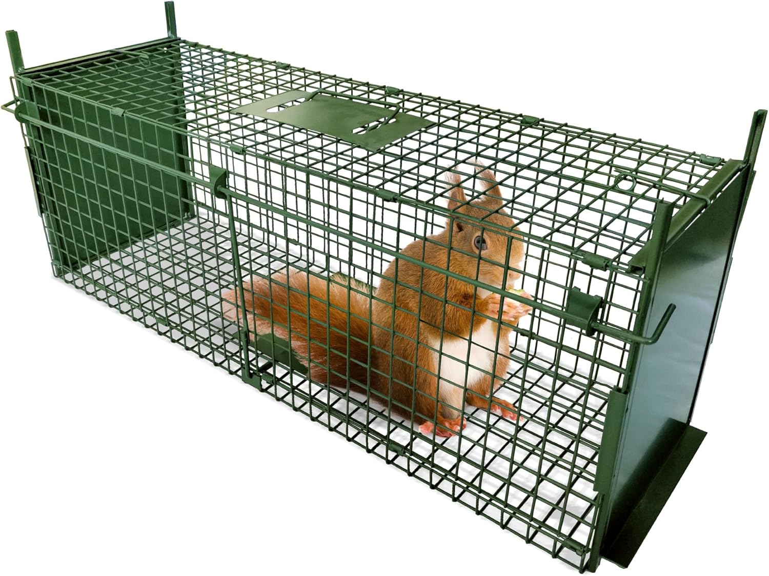 Small animal trap
